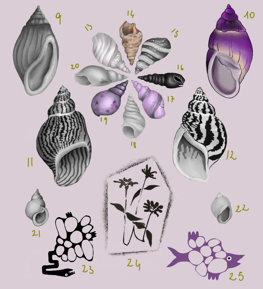 tatuaggi disponibili, conchiglie e animali 